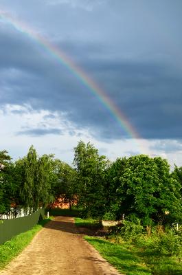 Прикрепленное изображение: DSC_0331_.jpg